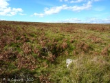 Holne Moor