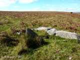 Holne Moor