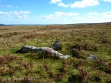 Holne Moor