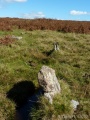 Holne Ridge NE