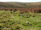 Holne Ridge NE