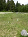 Fernworthy stone row SW