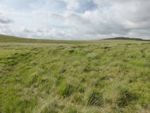 White Ridge pound
