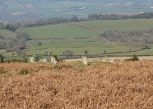 Mardon Down N