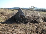 Butterdon Down West