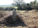 Butterdon Down West