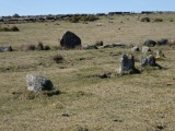Sherberton circle