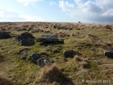 Click for full size image of Ringmoor Down Cairn 2 (PID:108353) Ringmoor Down Cairn 2