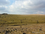 Legis Tor Enclosures