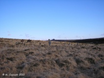 Scorhill