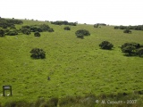 Click for full size image of Shaugh Moor row (PID:41725) Shaugh Moor row