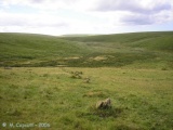 Upper Erme Row