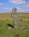 Click for full size image of The Langstone (PID:33562) The Langstone