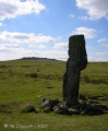 Click for full size image of The Langstone (PID:33567) The Langstone