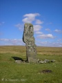 Click for full size image of The Langstone (PID:33566) The Langstone