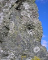 Click for full size image of The Langstone (PID:33563) The Langstone