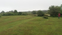 Roborough Down Earthworks - PID:213414