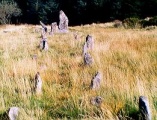 Assycombe - PID:766