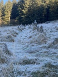 Assycombe