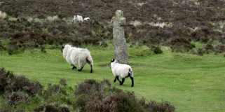Bennet's Cross
