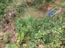 St Petrock's Well Devon