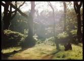 Blackbury Camp - PID:83482