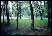 Blackbury Camp - PID:83479