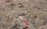 Shovel Down row 1