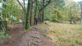 Castle Dyke (Devon)