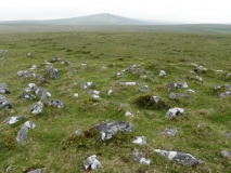 Cairns East of White Tor