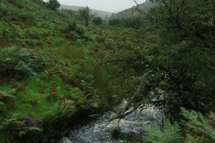 Farley Water stones - PID:277030