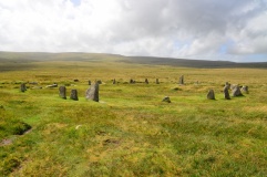 Scorhill - PID:210481
