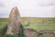 Down Tor stone row - PID:3130
