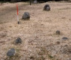 Fernworthy stone row SW