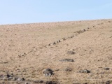 Click for full size image of Green Hill - Stall Moor (PID:110712) Green Hill - Stall Moor