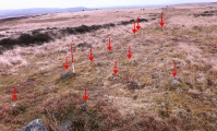 Click for full size image of Holne Moor (PID:125285) Holne Moor