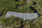 Oke Tor - PID:183260