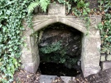 St John's Well (Tavistock) - PID:229396