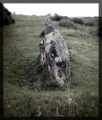 Merrivale Stone Slabs 1 and 2 - PID:159733