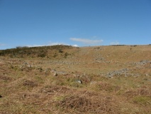 Gripper's Hill