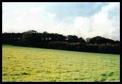 Seaton Down Camp - PID:83471