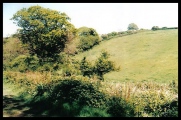 Seaton Down Camp - PID:83470