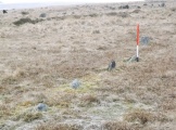 Hart Tor south row