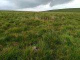 Click for full size image of Green Hill - Stall Moor (PID:235989) Green Hill - Stall Moor