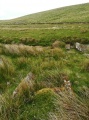 Click for full size image of Blackabrook (PID:230449) Blackabrook