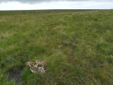 Click for full size image of Green Hill - Stall Moor (PID:235992) Green Hill - Stall Moor