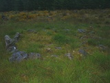 Click for full size image of Fernworthy settlement (PID:124989) Fernworthy settlement