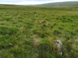Click for full size image of Green Hill - Stall Moor (PID:235993) Green Hill - Stall Moor