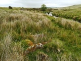 Click for full size image of Blackabrook (PID:230451) Blackabrook