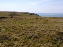 Tibbett's Hill Cairn Circles